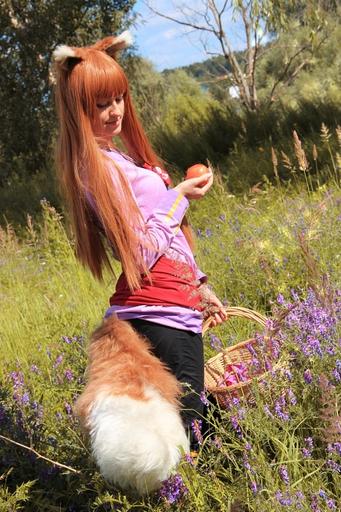 Обо всем - [Best Anime Cosplay] Подборка косплея Хоро (Spice and Wolf)