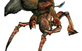 Antlion_guard_1_