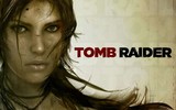 Tomb-raider-reboot-1-600x375